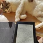 Leyendo en el Kindle mientras mi gata me pide mimitos en la tripa