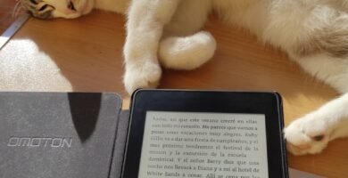 Leyendo en el Kindle mientras mi gata me pide mimitos en la tripa